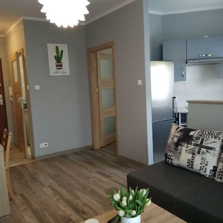شقة Apartament Edelmana غوجوف فييلكوبولسكي المظهر الخارجي الصورة