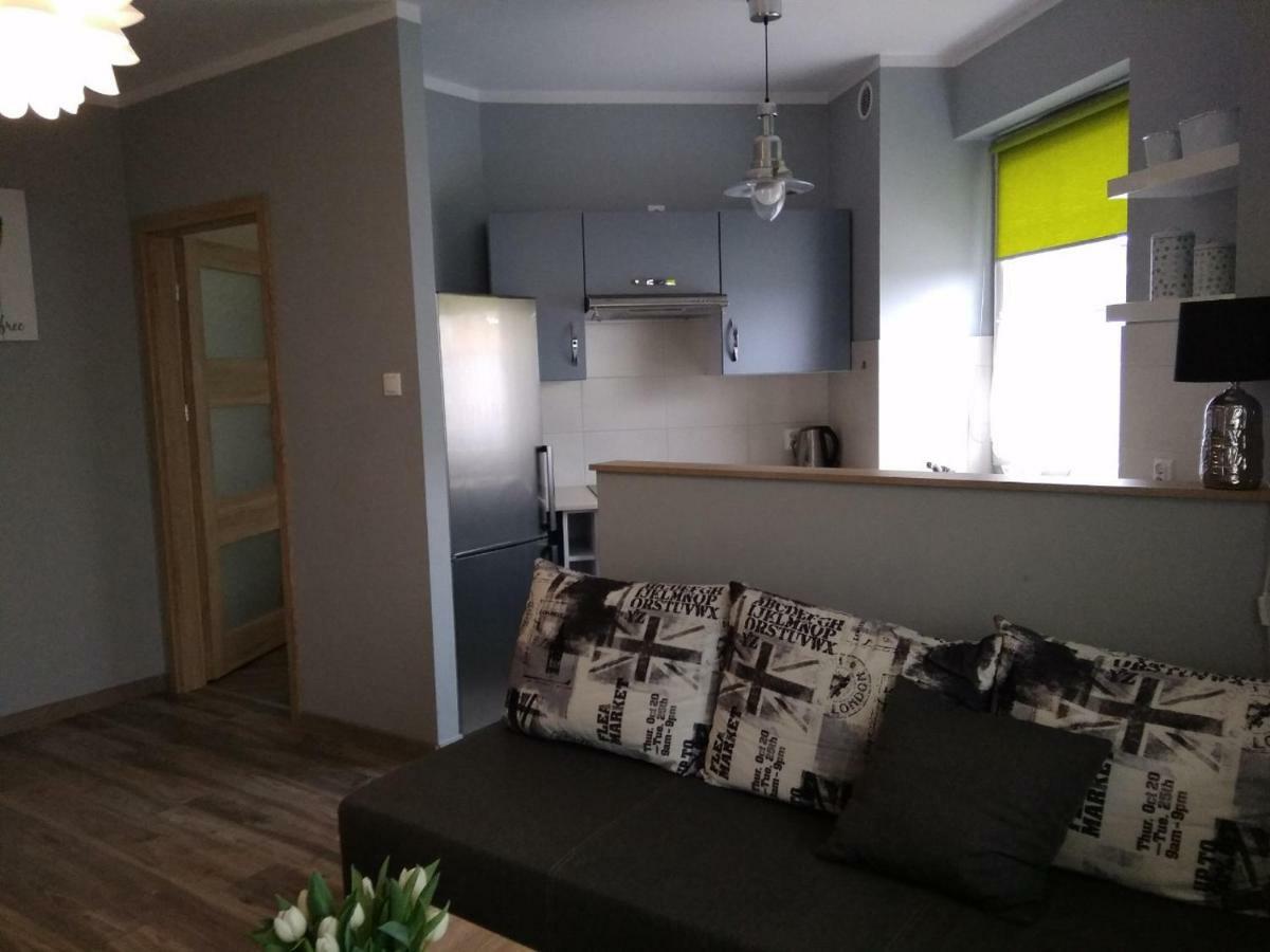 شقة Apartament Edelmana غوجوف فييلكوبولسكي المظهر الخارجي الصورة